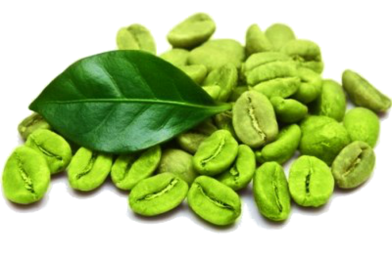 Excelsa