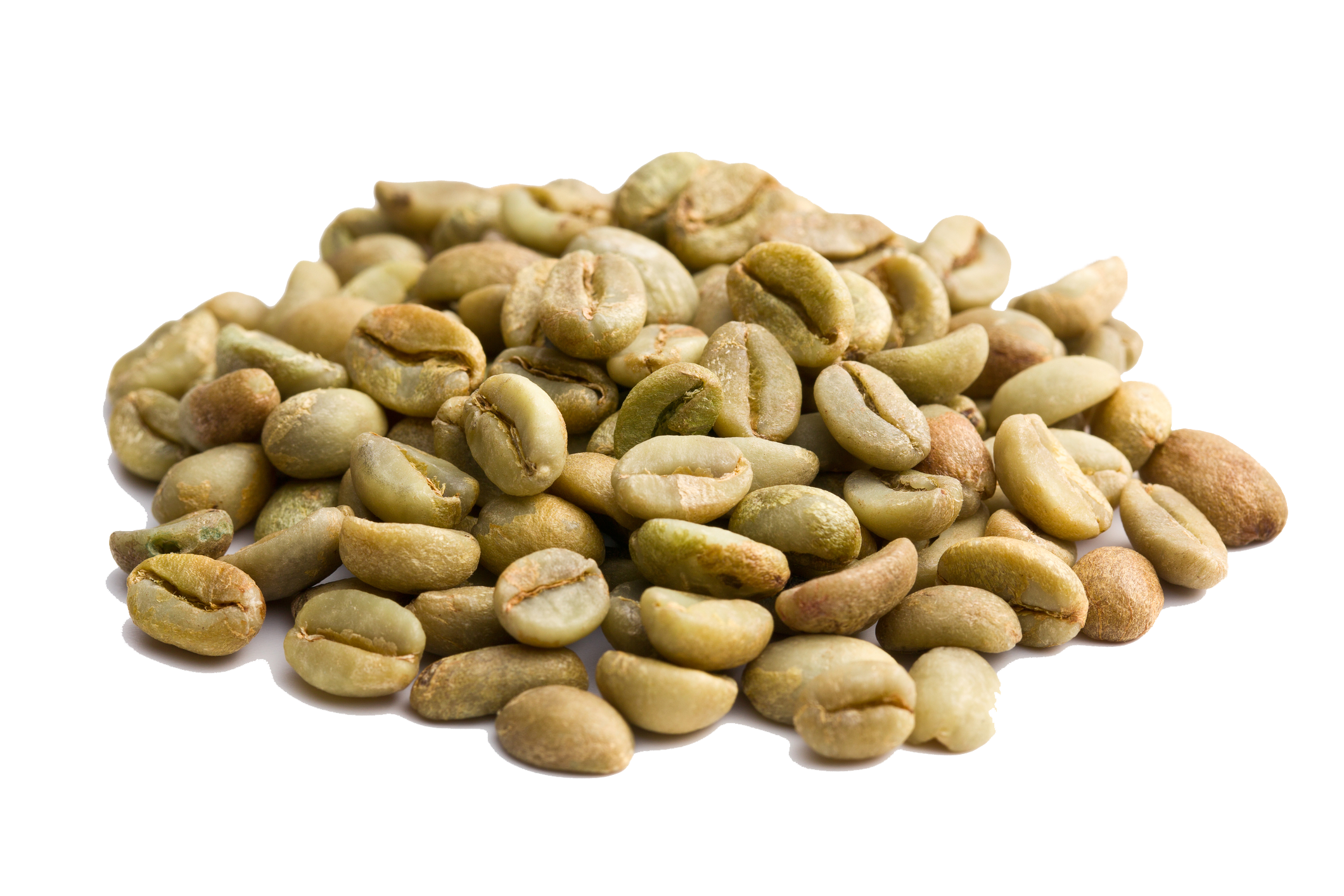 Liberica
