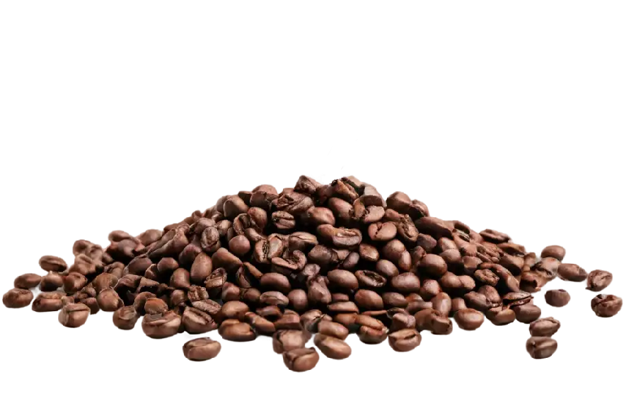 Arabica